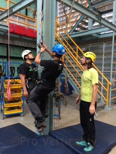 Training with the Lezard